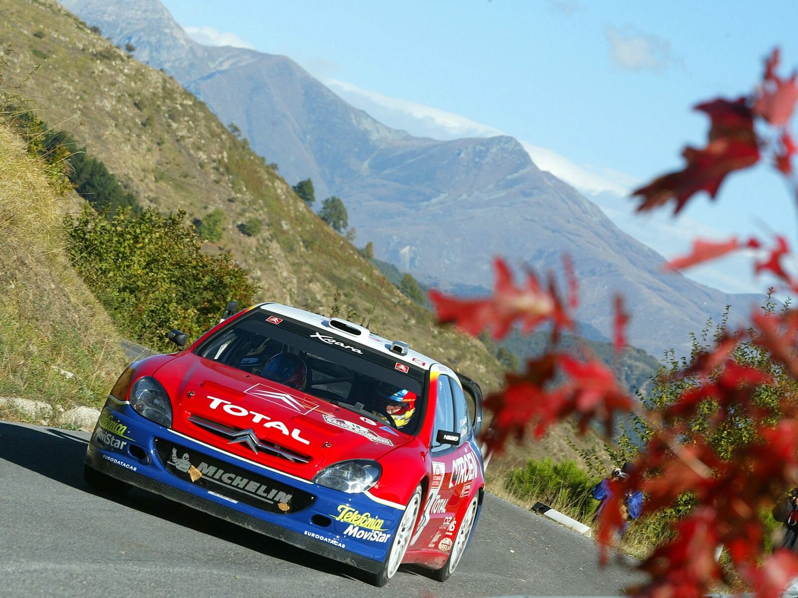 Click to See Next Image