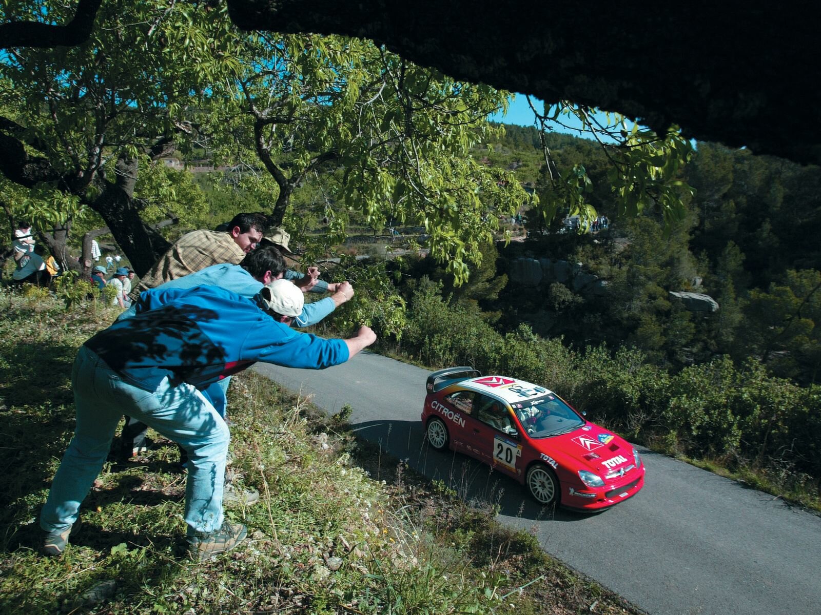 Click to See Next Image