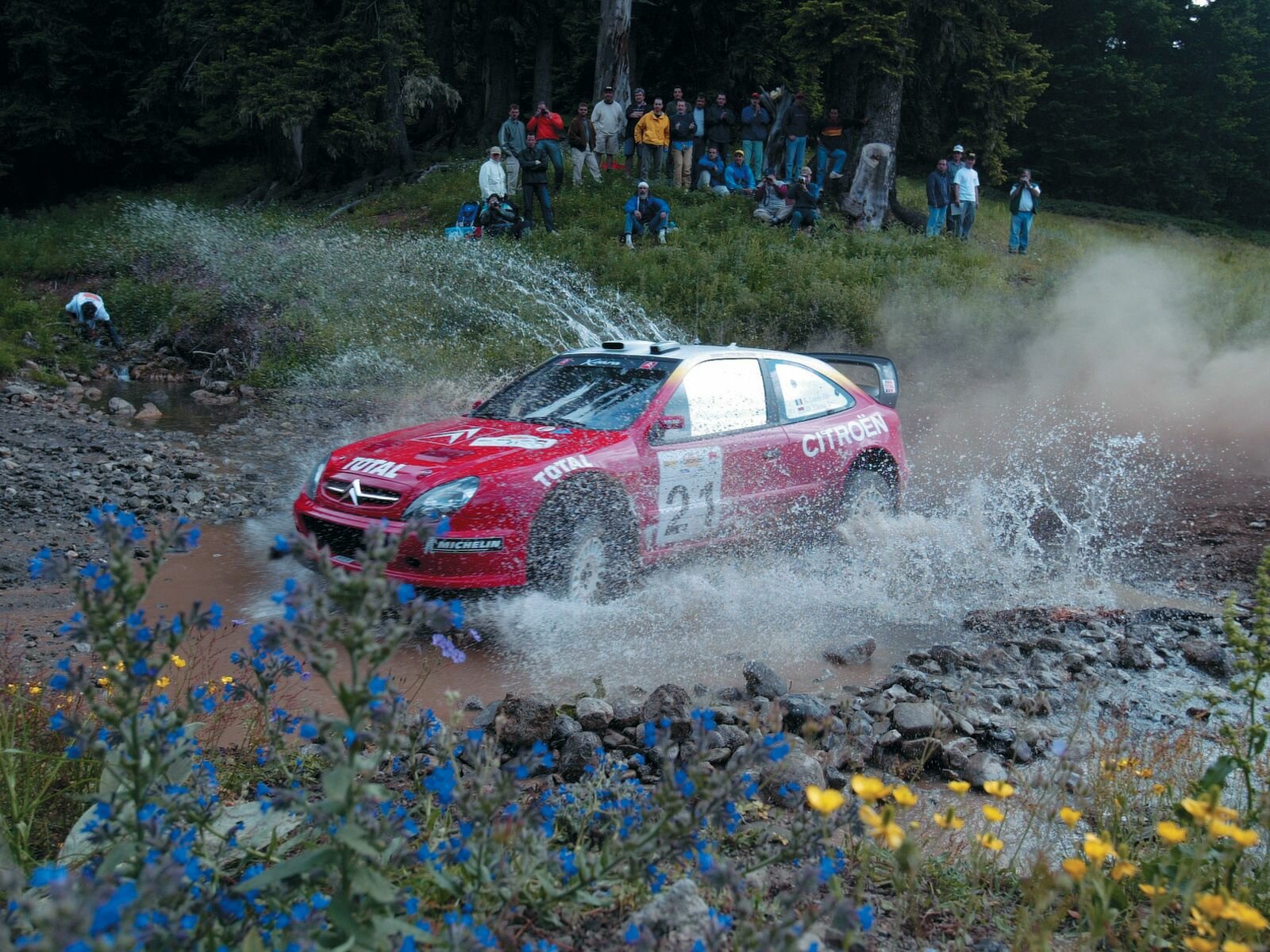 Click to See Next Image