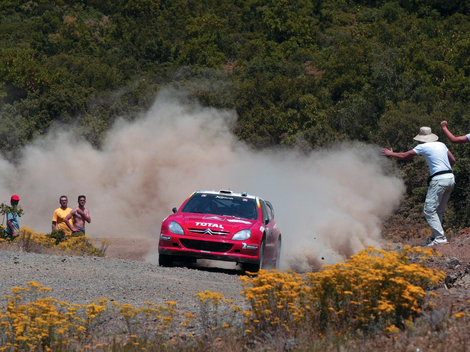 Click to See Next Image