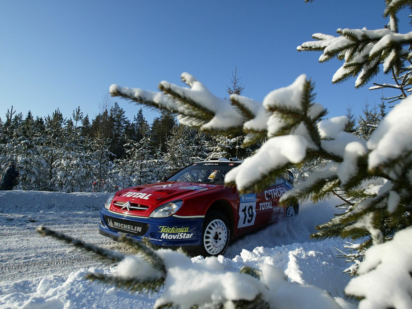 Click to See Next Image