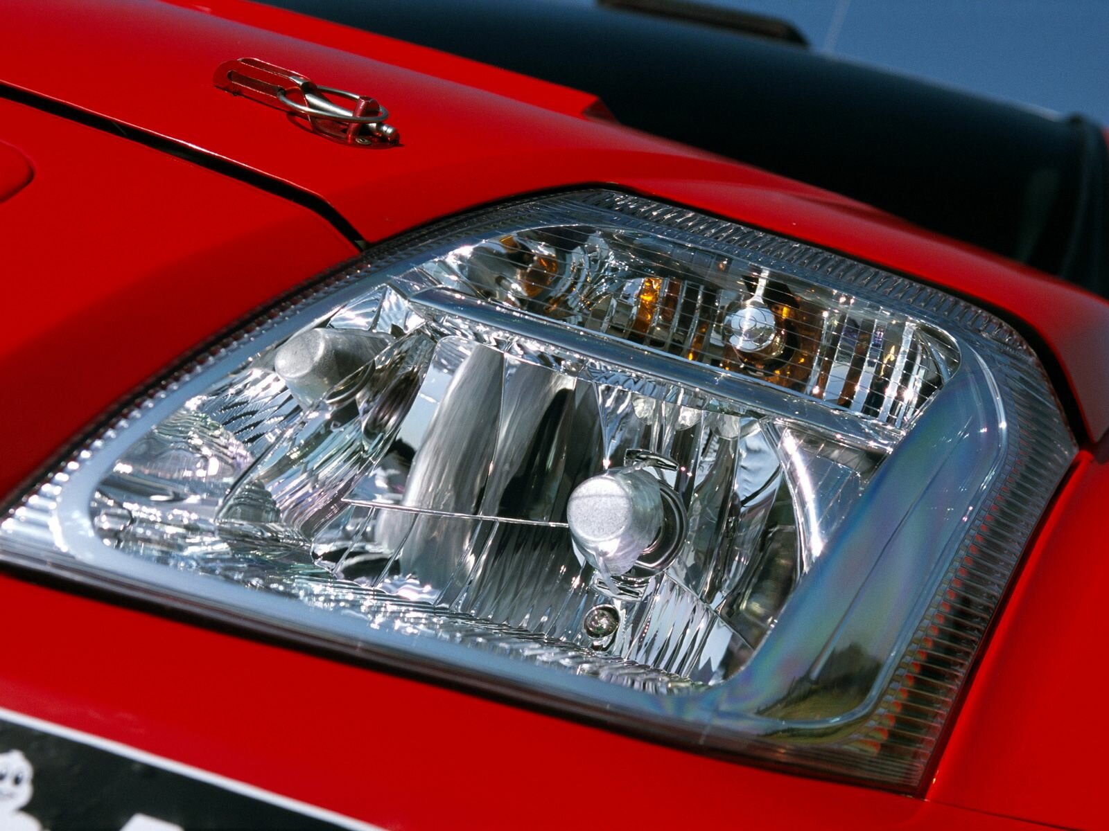 Click to See Next Image