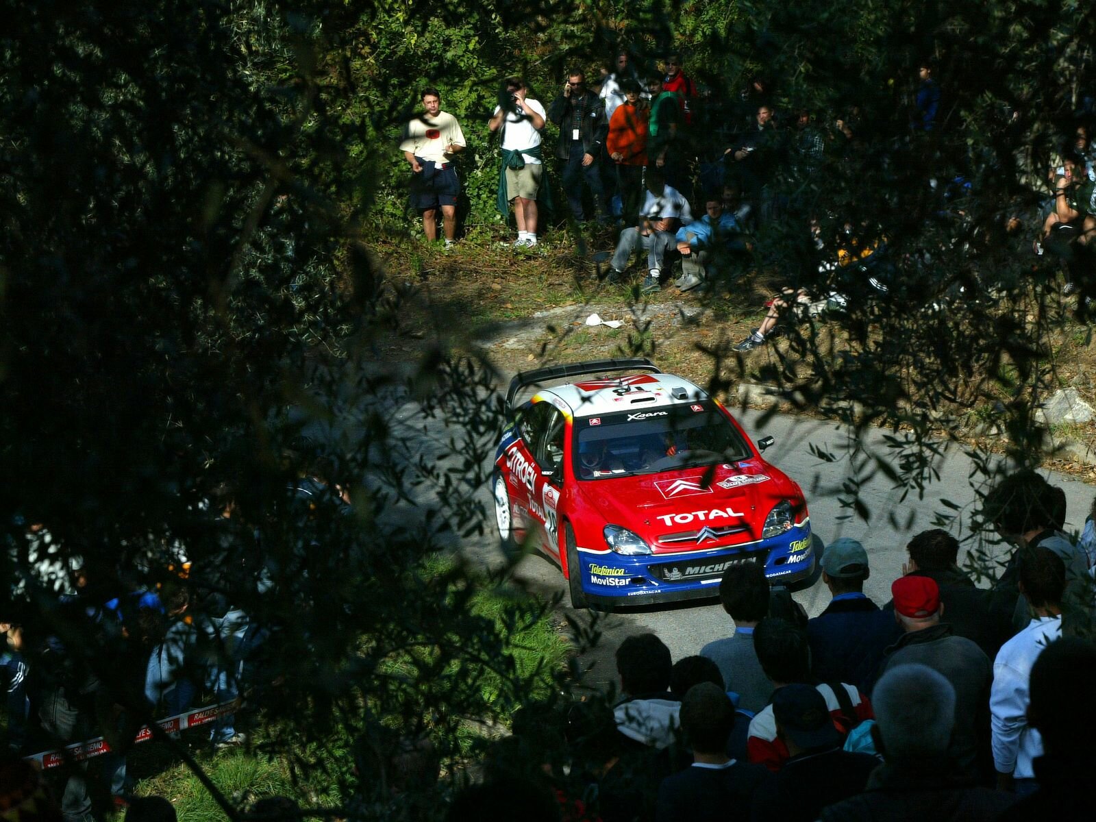 Click to See Next Image