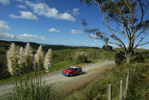 Click to See Next Image