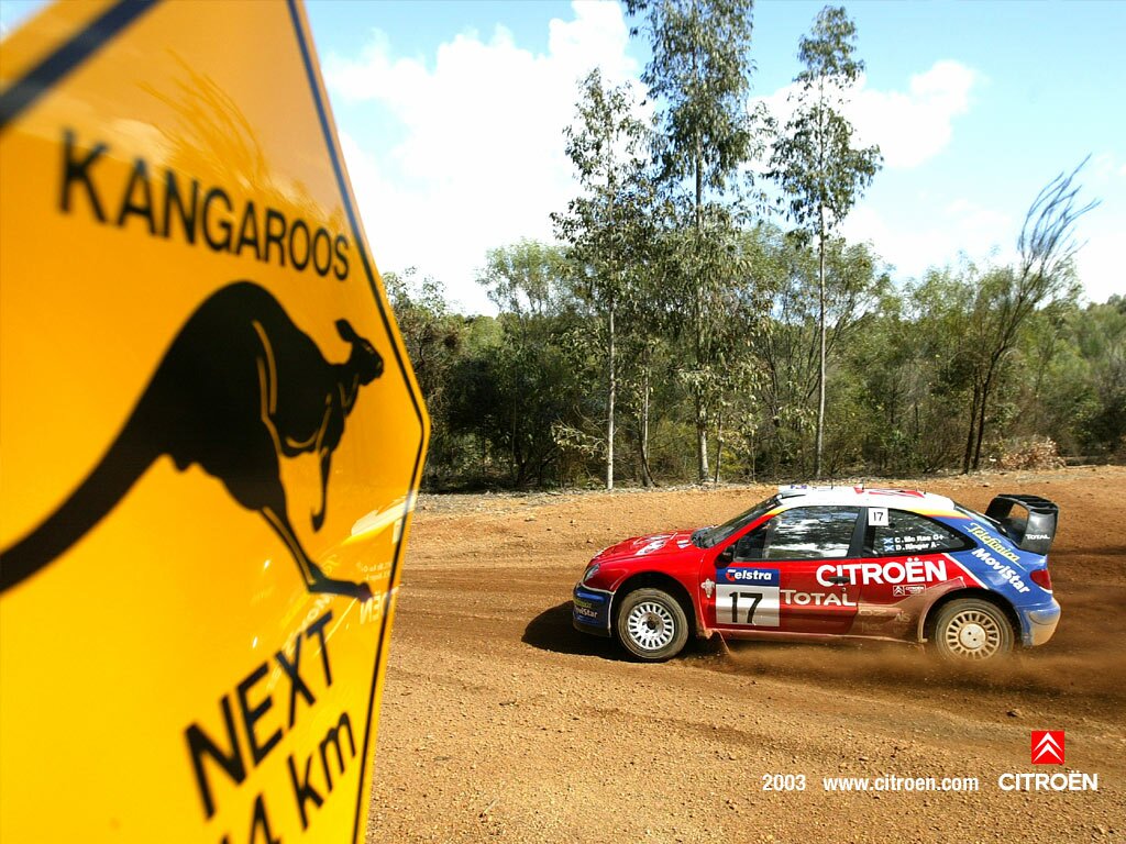 Click to See Next Image