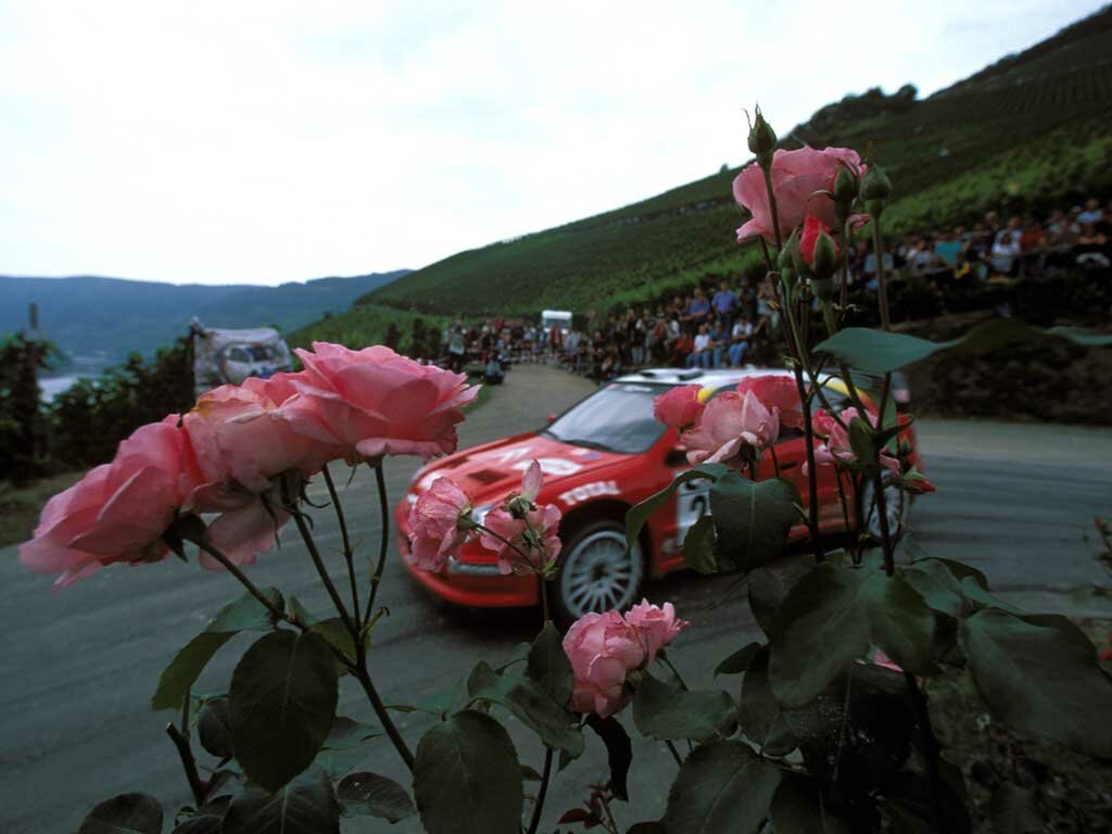 Click to See Next Image