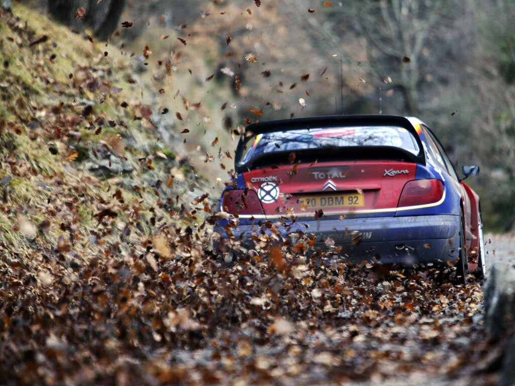 Click to See Next Image