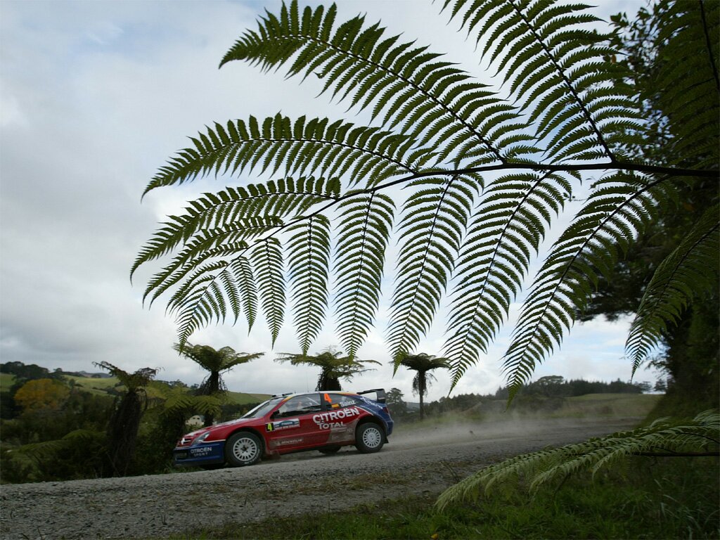 Click to See Next Image