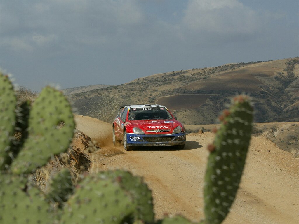 Click to See Next Image