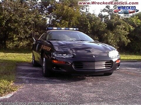 Click to See Next Image