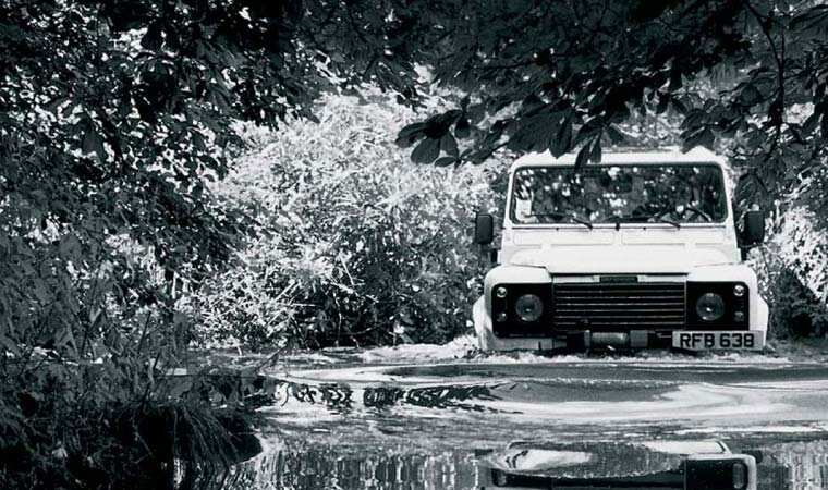 Click to See Next Image