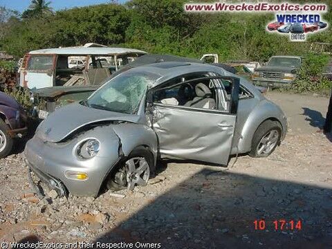 Click to See Next Image