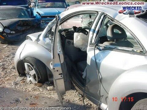 Click to See Next Image