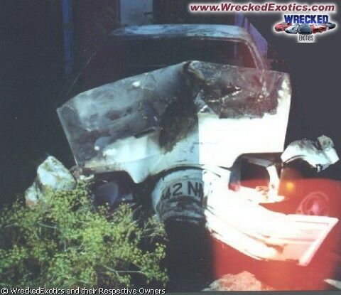 Click to See Next Image