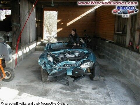 Click to See Next Image