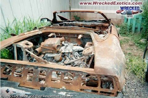 Click to See Next Image