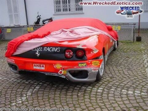 Click to See Next Image