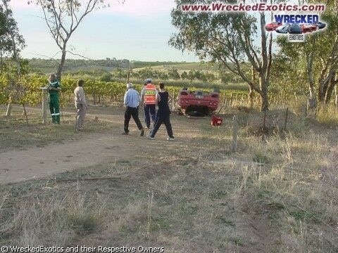 Click to See Next Image