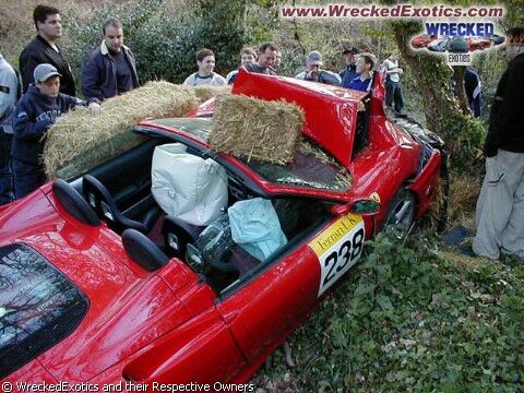 Click to See Next Image