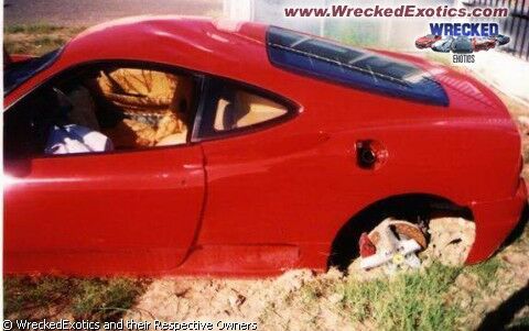 Click to See Next Image