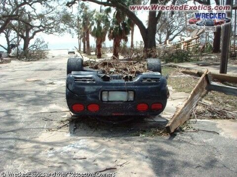 Click to See Next Image