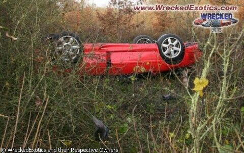 Click to See Next Image