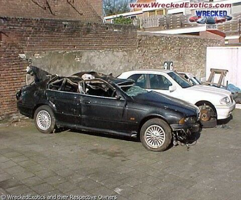 Click to See Next Image