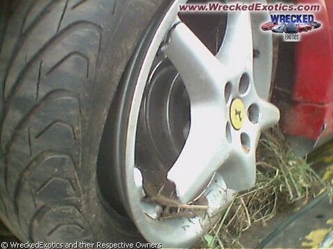 Click to See Next Image