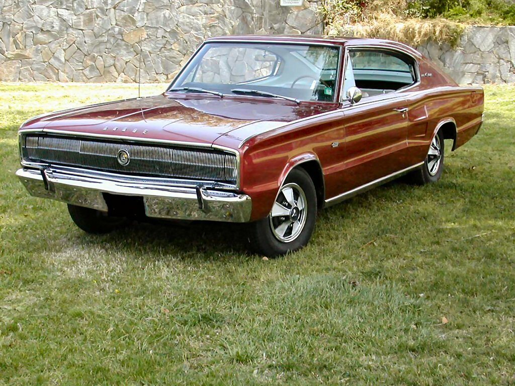 Click to See Next Image