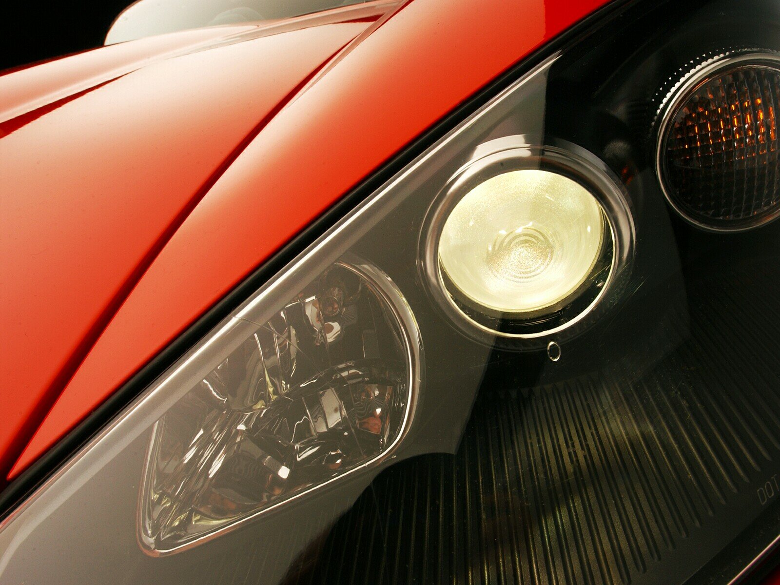 Click to See Next Image