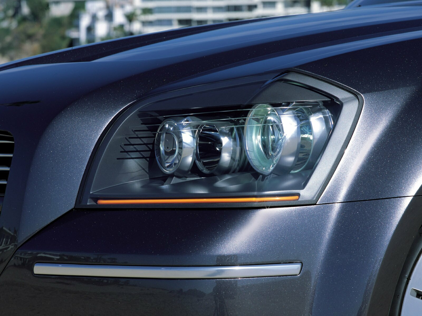 Click to See Next Image