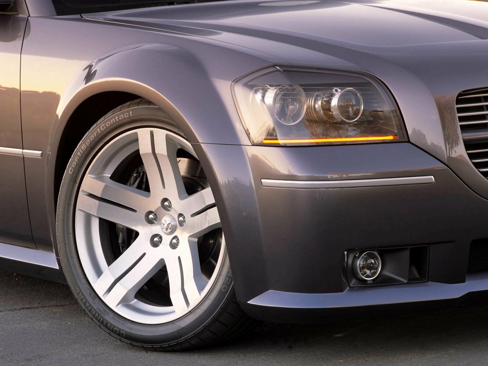 Click to See Next Image