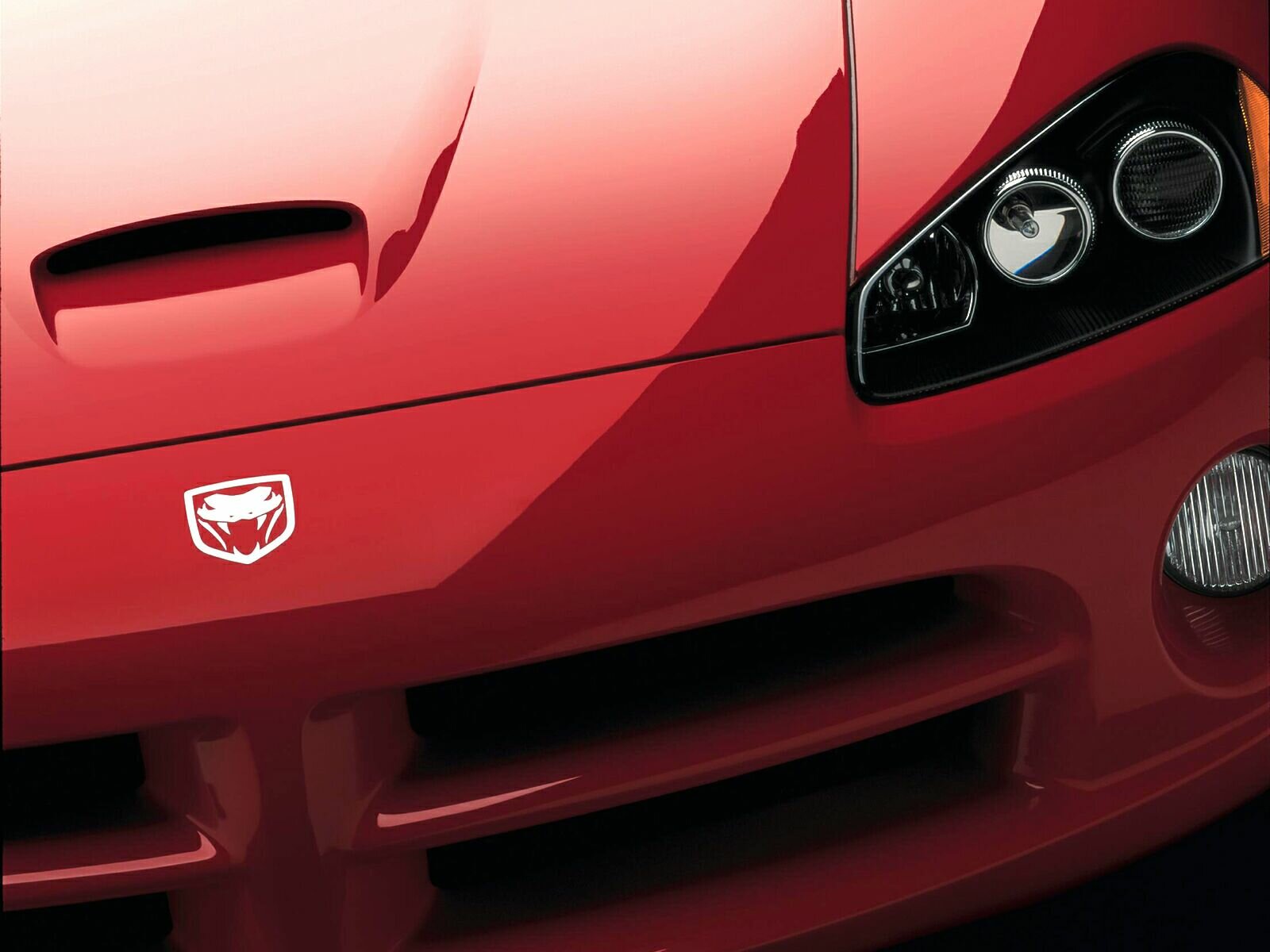 Click to See Next Image