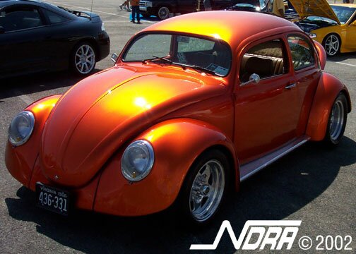 Click to See Next Image