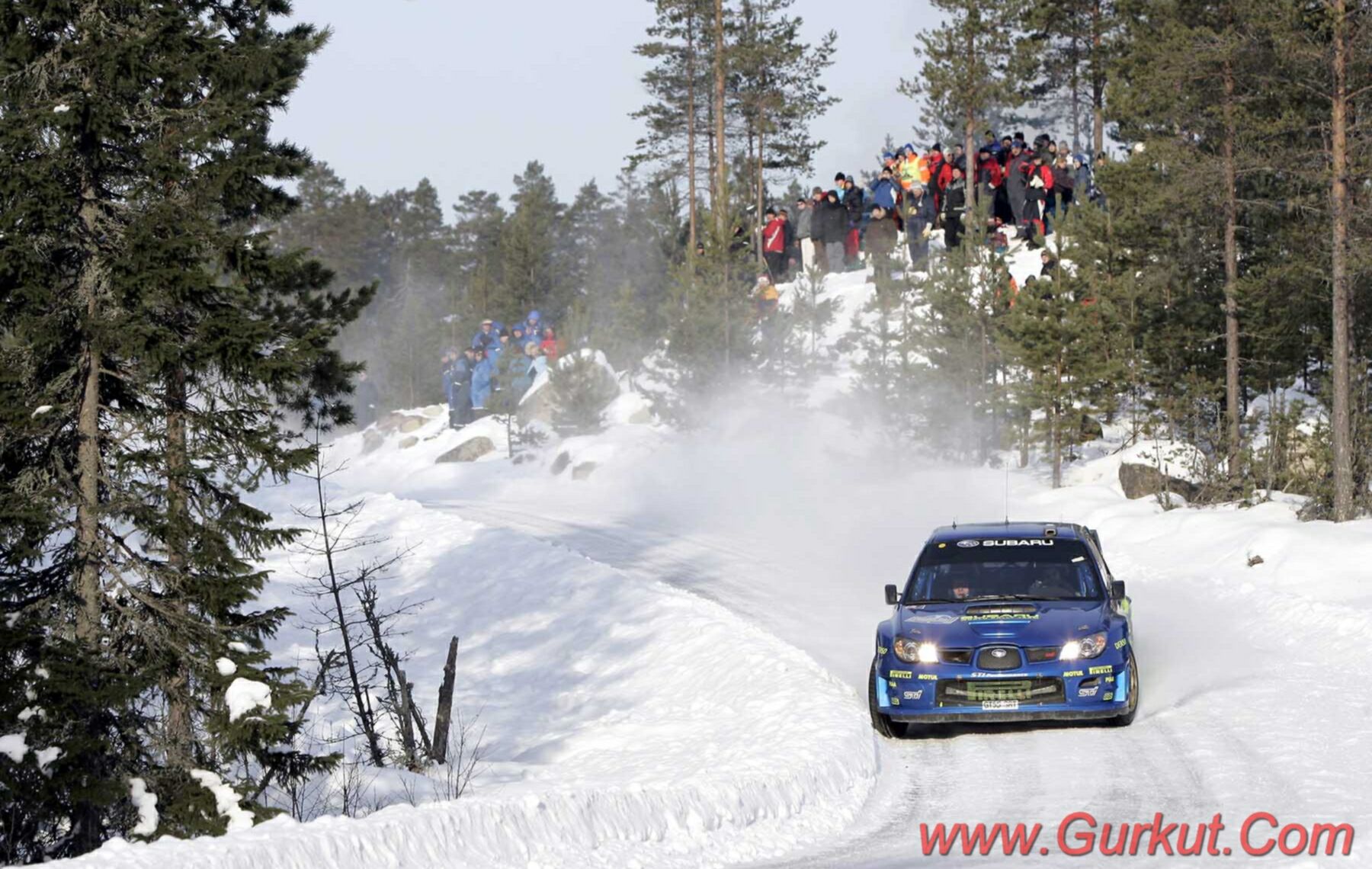 Click to See Next Image