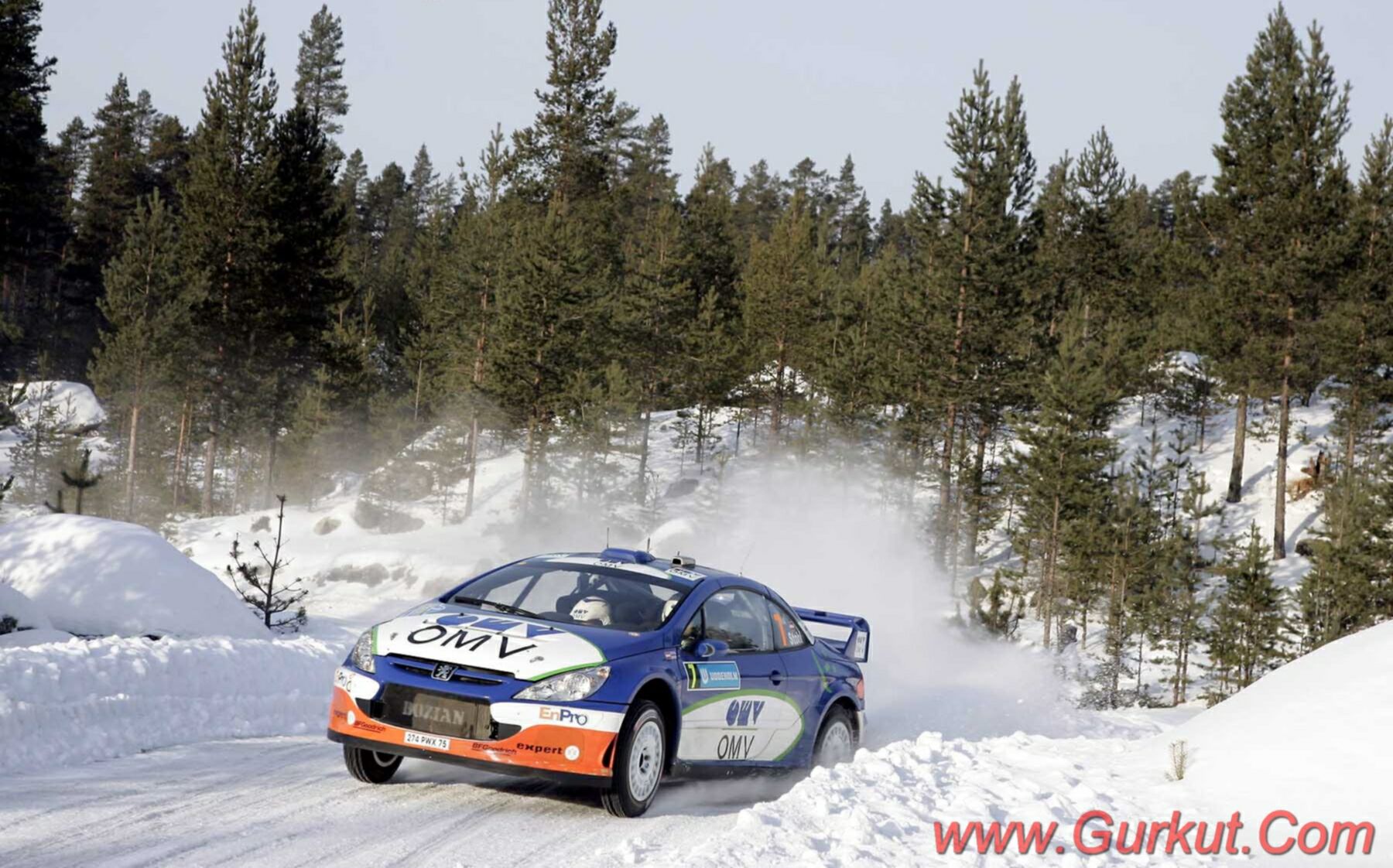 Click to See Next Image