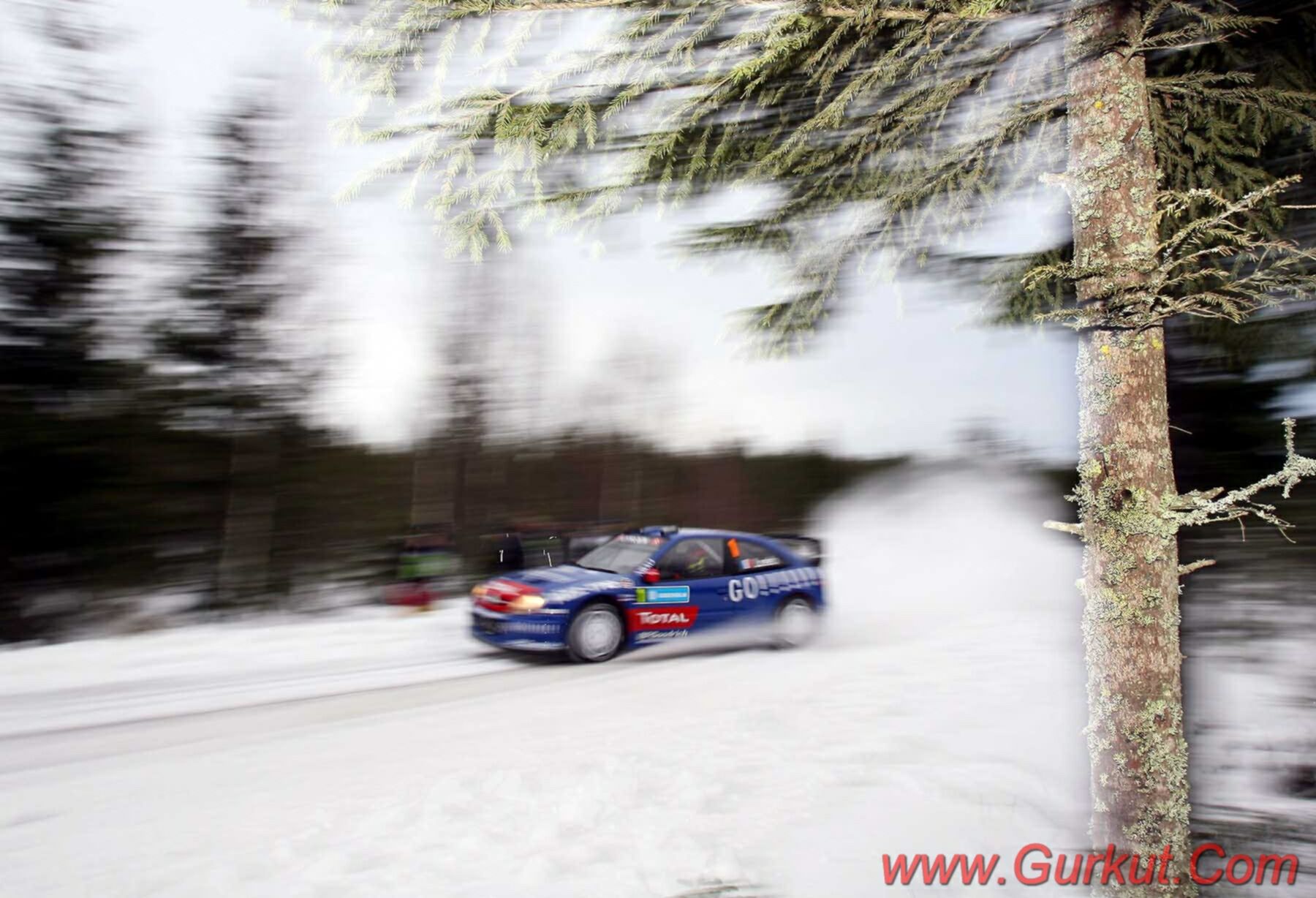 Click to See Next Image